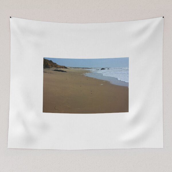 Item preview, Myspace Dot Earth. Panther Beach, California 2012 designed and sold by Igor Pozdnyakov.