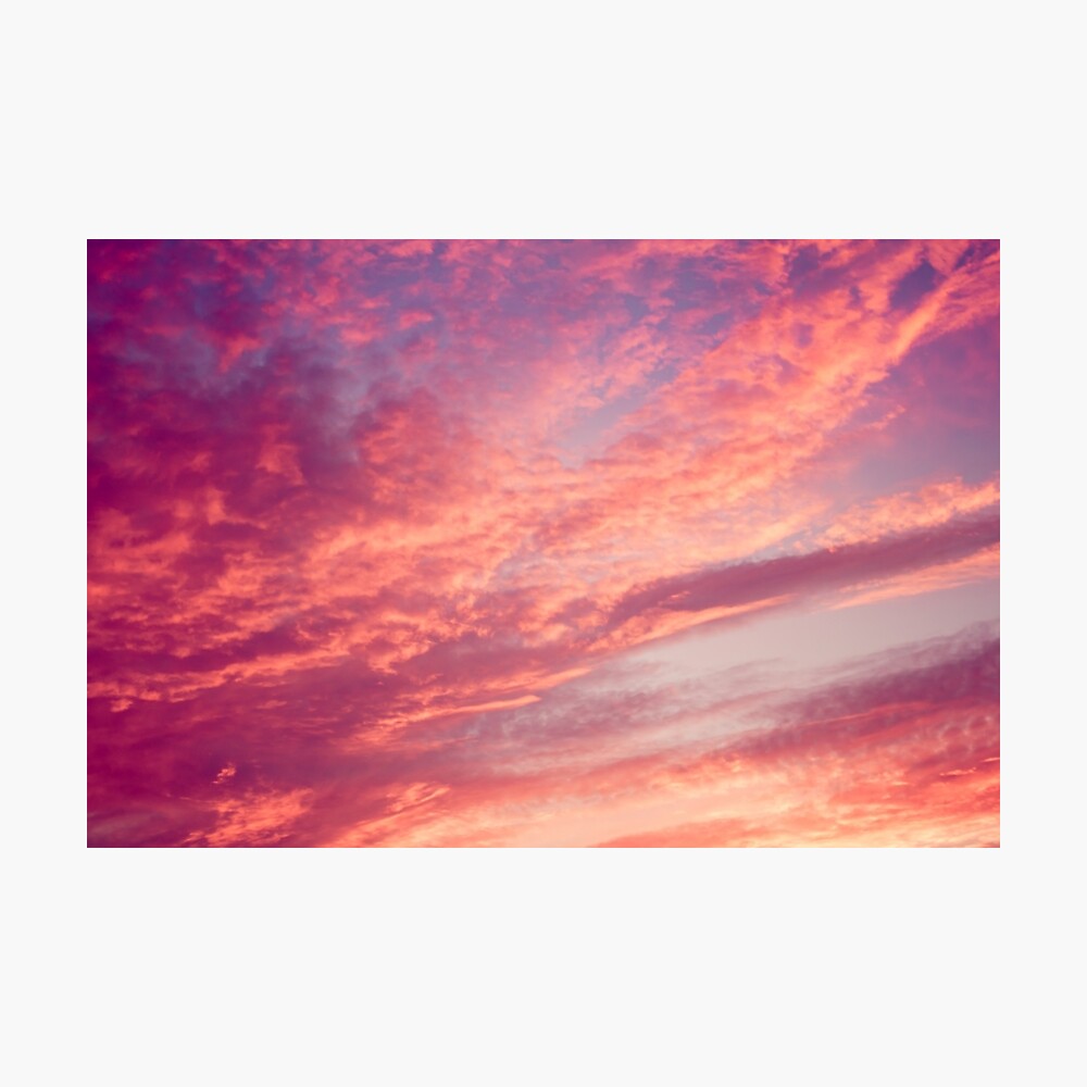 Cotton Candy Pink Skies Poster By Alyphoto Redbubble