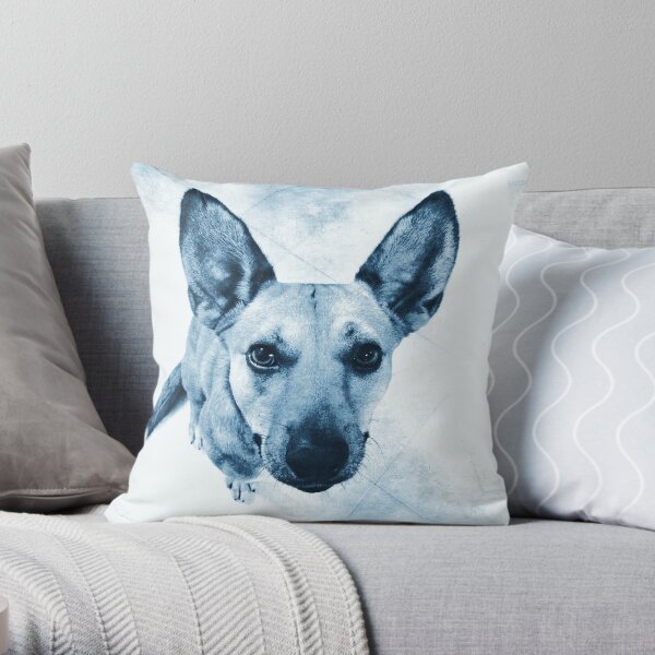 Carolina Dog Blue Pup - American Dingo Throw Pillow