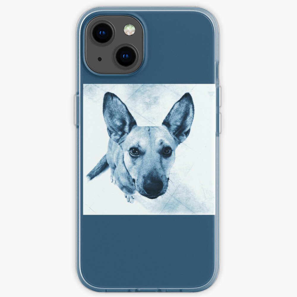 Carolina Dog Blue Pup - American Dingo iPhone Case