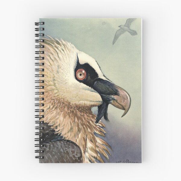 Item preview, Bearded Vulture - Louis Agassiz Fuertes (1874-1927) designed and sold by billythekidtees.