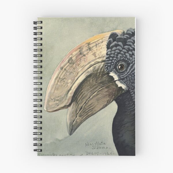 Item preview, Crested Hornbill - Louis Agassiz Fuertes (1874-1927) designed and sold by billythekidtees.