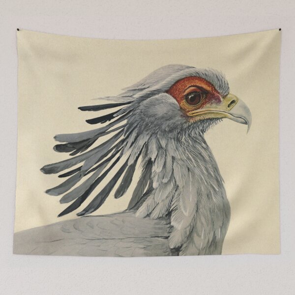 Item preview, Secretarybird - Louis Agassiz Fuertes (1874-1927) designed and sold by billythekidtees.