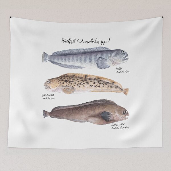 Item preview, Wolffish (Anarchichas spp.) designed and sold by Petrún Sigurðardóttir.
