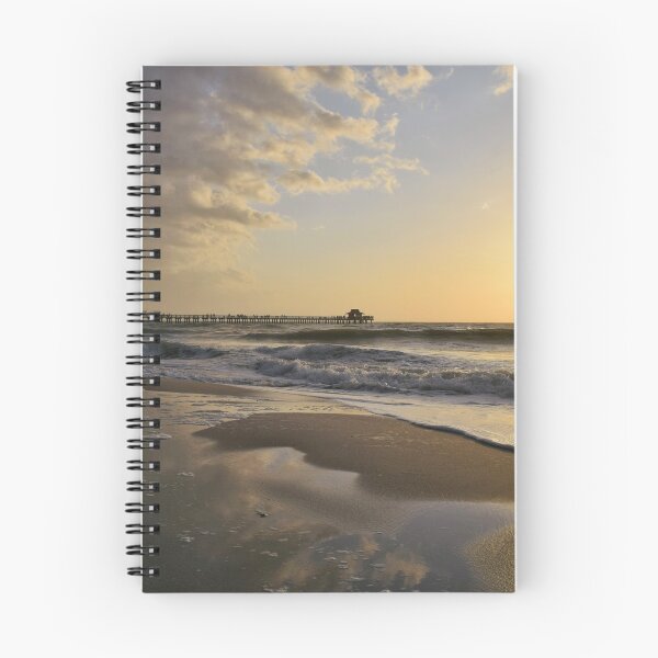Item preview, Naples Pier designed and sold by Susan Wallace.