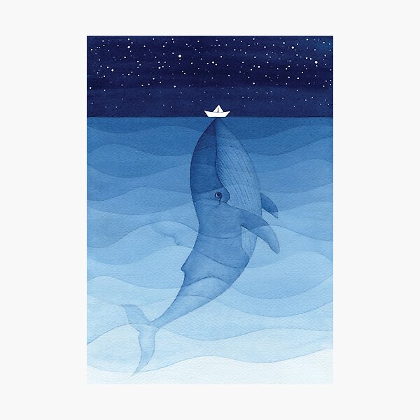 Blue whale, sea animal Photographic Print