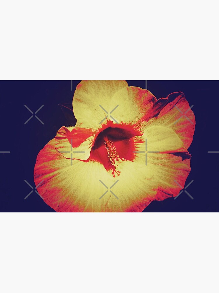 Floral Gift - Single Hibiscus Black Orange and Beige Design by OneDayArt