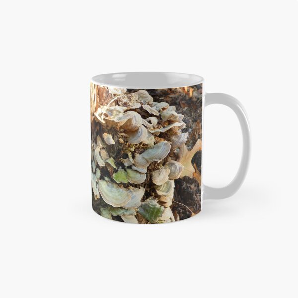 Item preview, My Favorite Fungus Tree designed and sold by WildestArt.