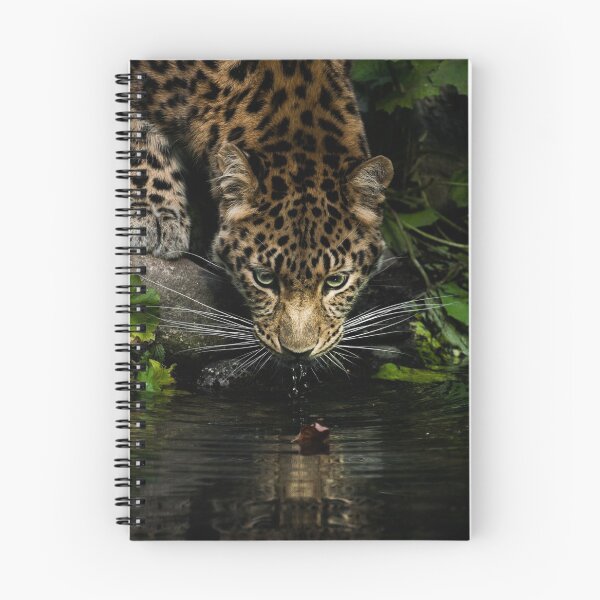 Item preview, Amur Leopard designed and sold by etorviphoto.