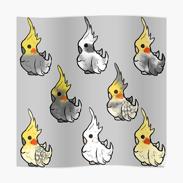 Cockatiel Mutations Poster