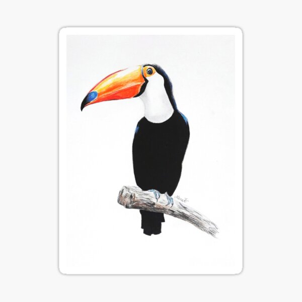 Toucan Sticker