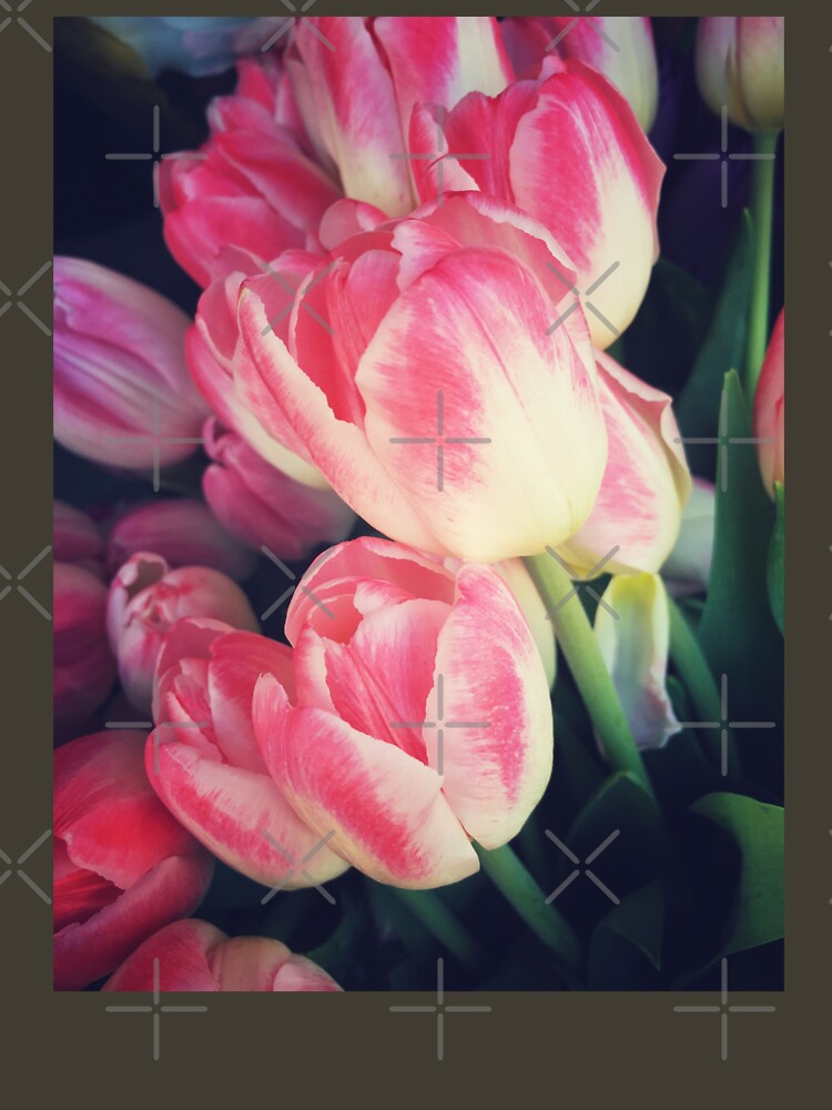 Tulip Lovers - Dramatic Pink Tulips Art Photography by OneDayArt