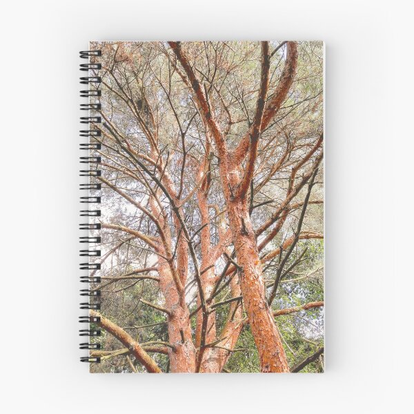 Item preview, Countryside, Lakes & Forest C171 designed and sold by Hyperion Photoart.