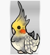 Cockatiel Mutations - Pied Pearl Poster