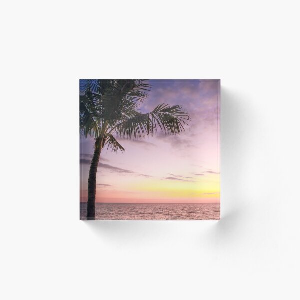 Palm in Paradise Acrylic Block