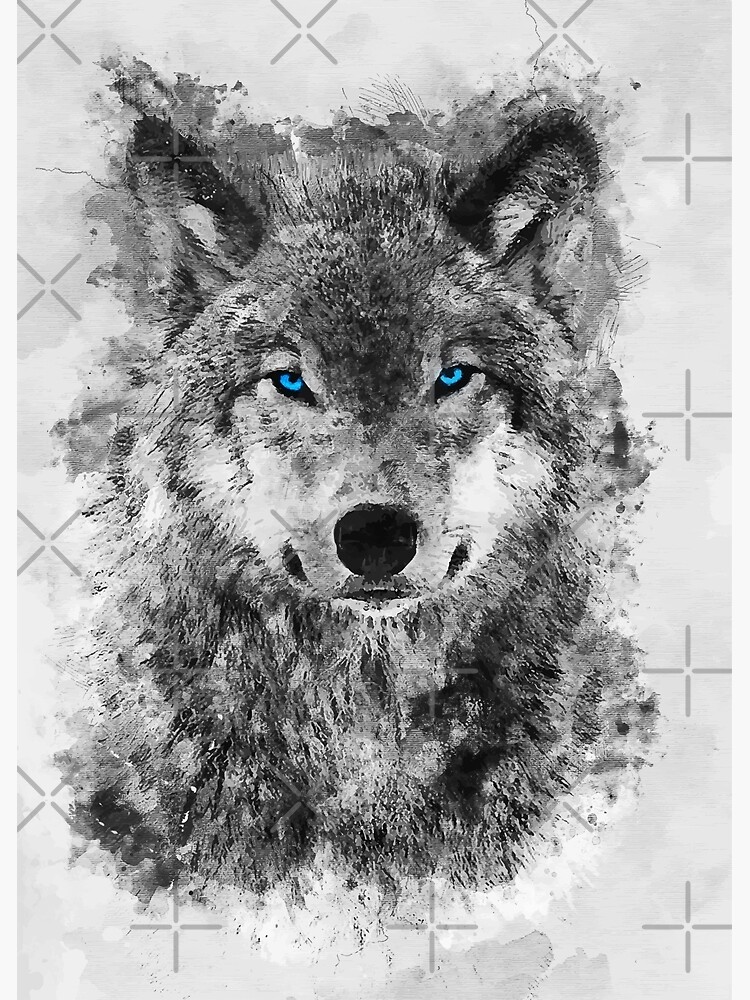 grey and white wolf
