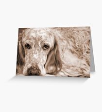 English Setter, thinking Greeting Card