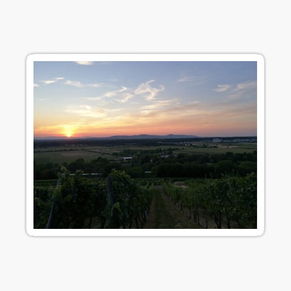 Freiberg Sunset Sticker