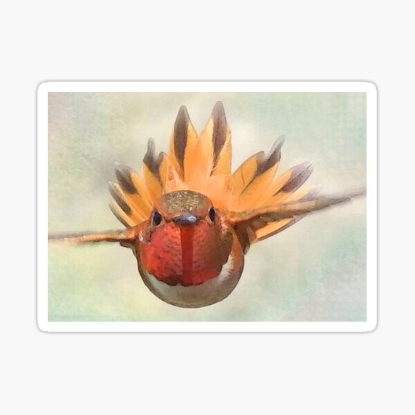 Rufous Sticker