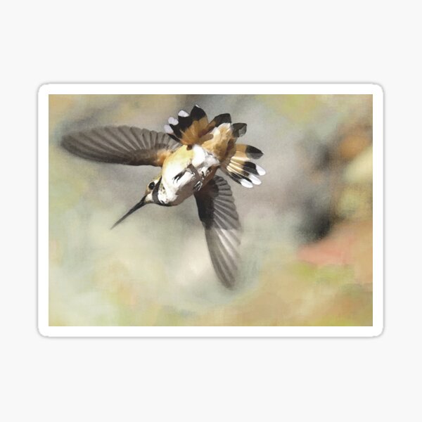 Nectar Diving Sticker