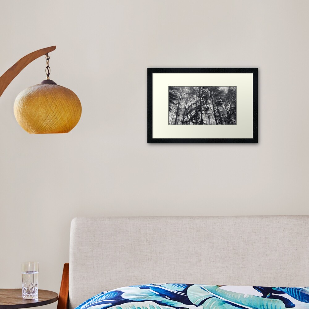 Misty Trees Framed Art Print