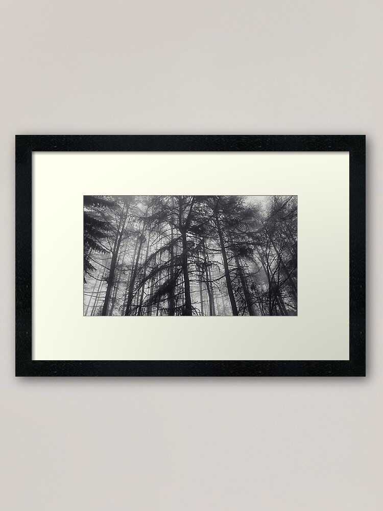 Alternate view of Misty Trees Framed Art Print