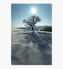 Shining Photographic Print