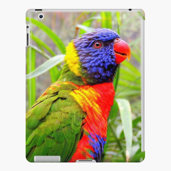 Tanzen Lorikeet iPad – Leichte Hülle