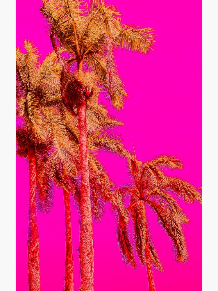 Neon Pink Tropics - Psychedelic Coconut Trees Art - Graduation Gift by OneDayArt
