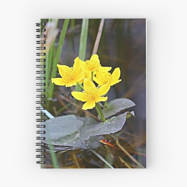 Item preview, Marsh Marigolds designed and sold by Teresa Zieba.