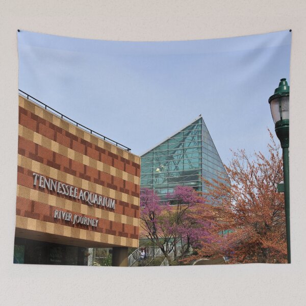 Item preview, Around Chatt-- Aquarium (River Journey) designed and sold by Dandy-Andy.