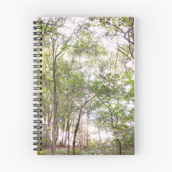 Item preview, Countryside, Lakes & Forest C160a1c designed and sold by Hyperion Photoart.