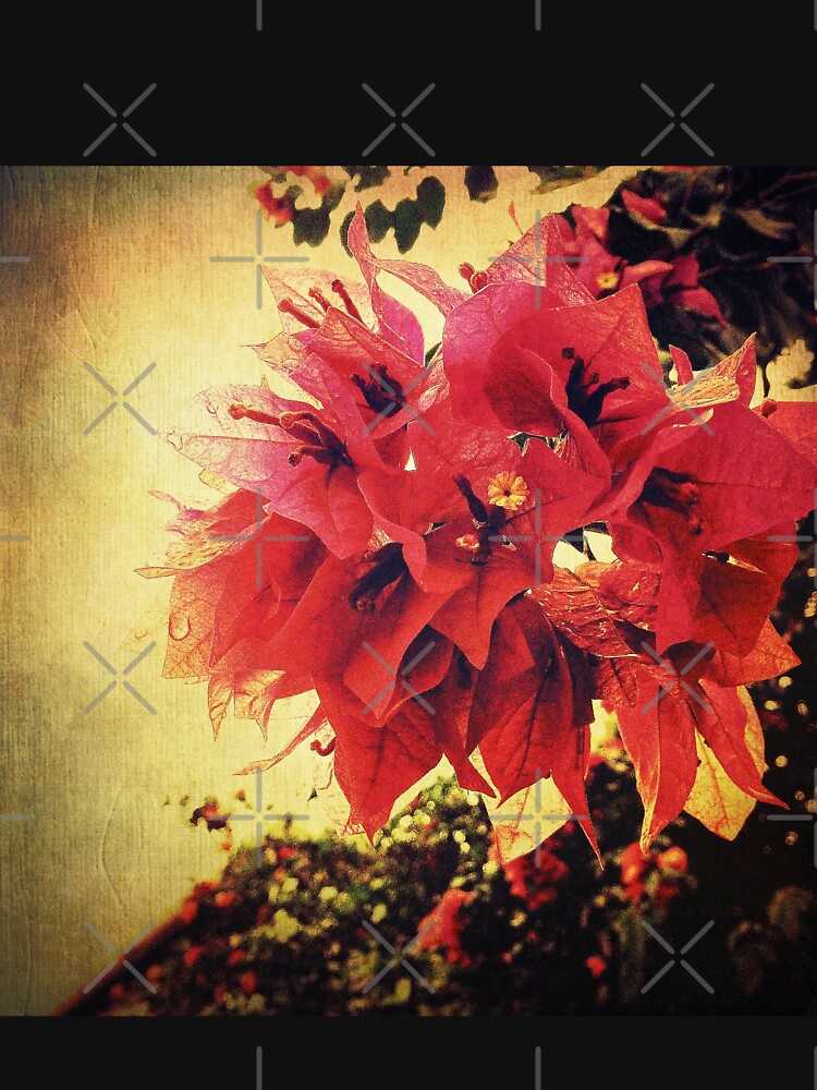 Sunset Bougainvillea - Deep Pink Flowers - Floral Art Photo by OneDayArt