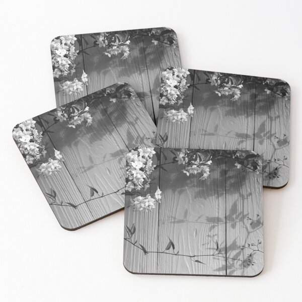Item preview, Jasmine Nightshade Vine on a Painted Fence, Black and White designed and sold by pixelmountain.