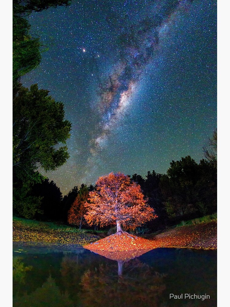 Night Skies over Balingup by paulmp