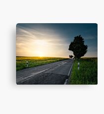 cutting edge Canvas Print