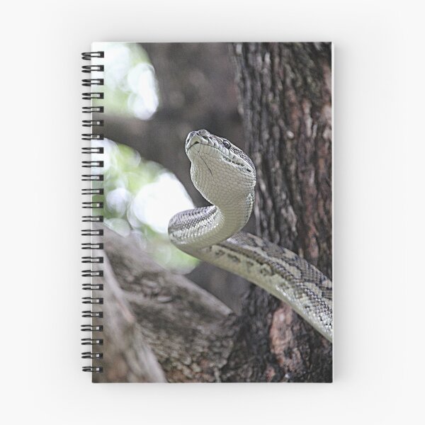 Item preview, Stay Away designed and sold by Marylou Badeaux.
