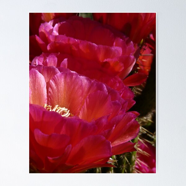Item preview, Luminescent designed and sold by Linda Sparks.