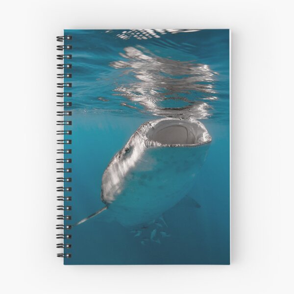 Item preview, Whale Shark  designed and sold by Jesshaddenphoto.