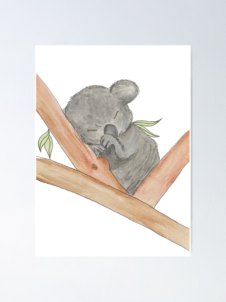 Poster Lindo Bebe Durmiendo Koala De Kathleenelisear Redbubble