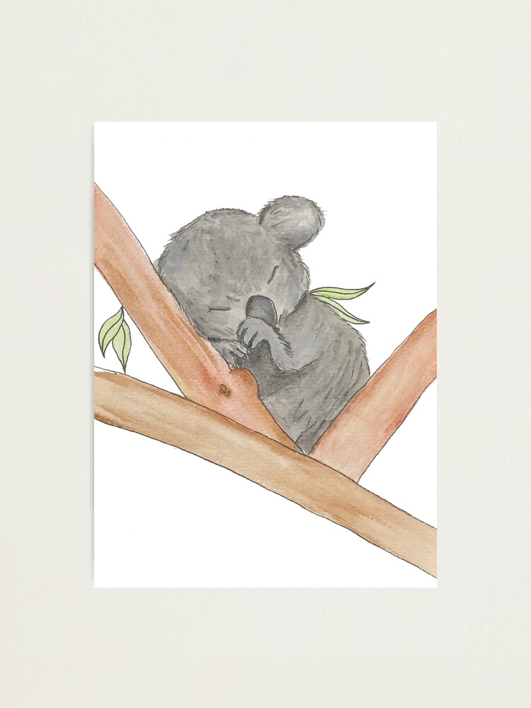 Impression Photo Koala Mignon Bebe Endormi Par Kathleenelisear Redbubble