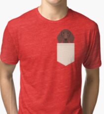 Piper - Dachshund, weener dog, wiener dog, pet portrait, sausage dog, pet Tri-blend T-Shirt