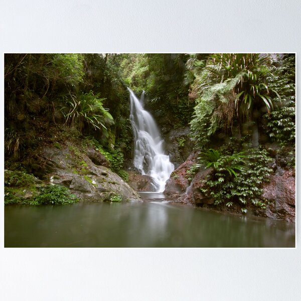 Aperçu de l'œuvre Elabana Falls, Toolona Creek Circuit créée et vendue par smallan.