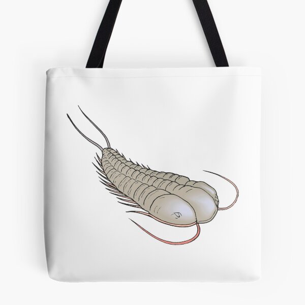 Item preview, Trilobite designed and sold by Judge-Hatchet.