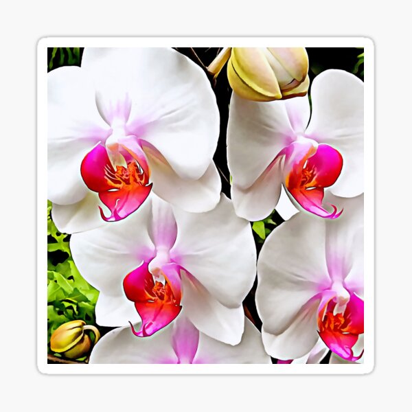 White Orchid Pattern 3 Sticker
