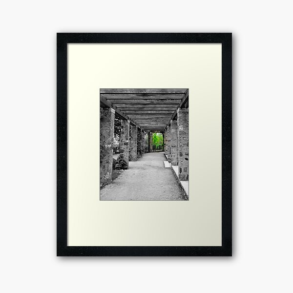 Narnia © Framed Art Print