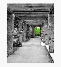 Narnia © Photographic Print
