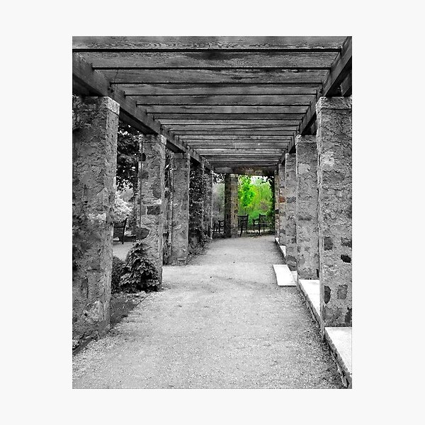 Narnia © Photographic Print