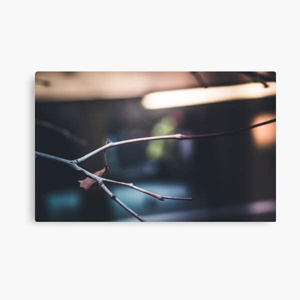 N 01 Canvas Print