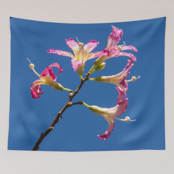 Item preview, Five Exotic Flowers - Silk Floss Tree Ceiba Speciosa Blooming Branch designed and sold by Georgia Mizuleva.